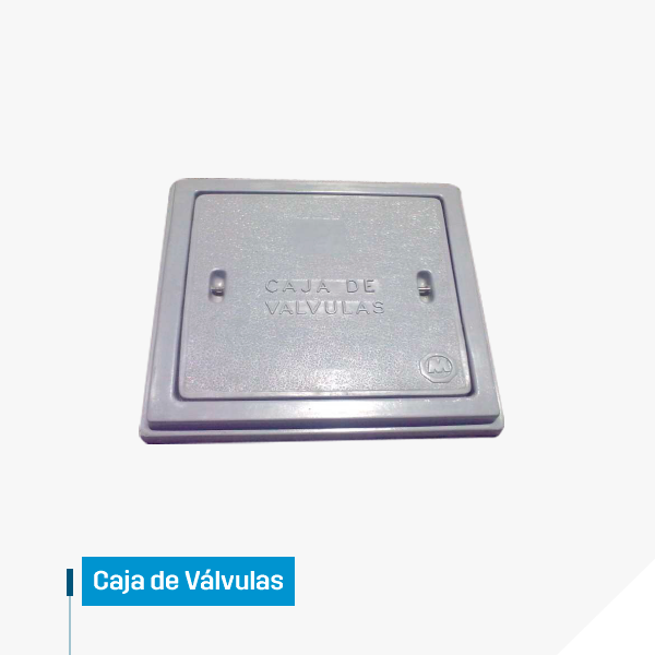 Caja de Válvulas